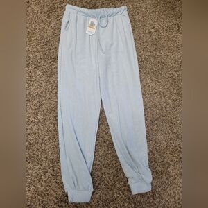 Blue Velour Sweatpants